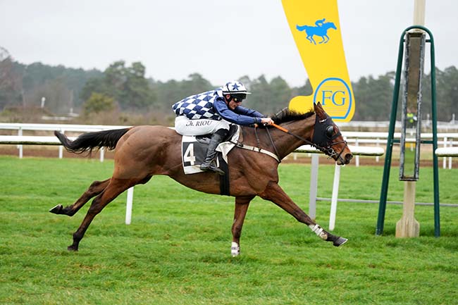 Photo d'arrivée de la course pmu PRIX DU CONSEIL MUNICIPAL DE CHAILLY-EN-BIERE à FONTAINEBLEAU le Mardi 20 février 2024