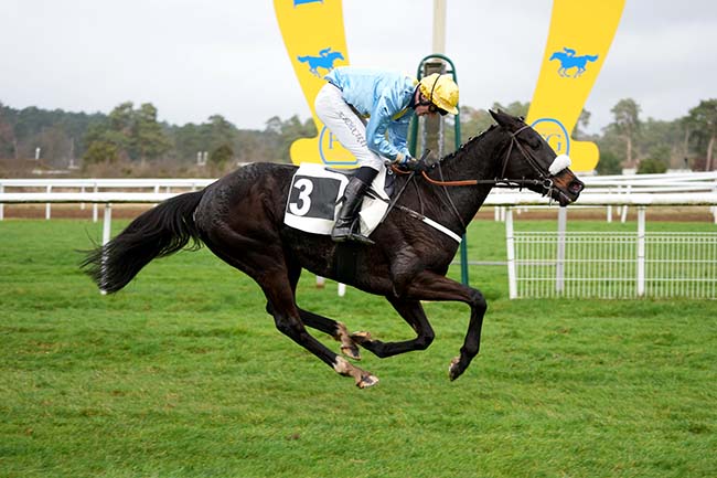 Photo d'arrivée de la course pmu PRIX DU CHAMPAGNE ROBERT GRUMIER à FONTAINEBLEAU le Mardi 20 février 2024