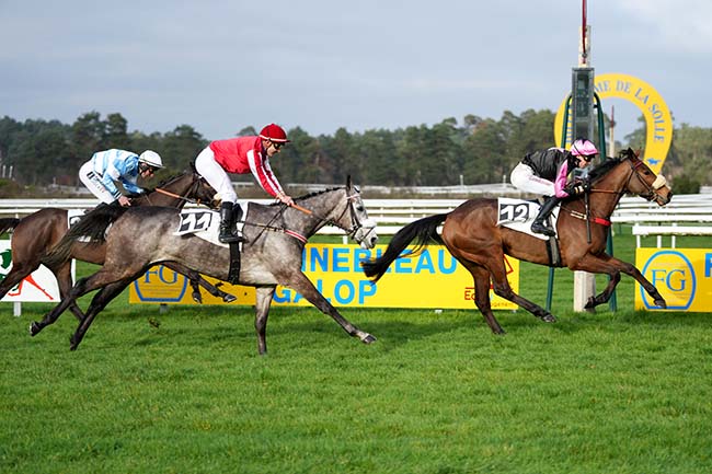 Photo d'arrivée de la course pmu PRIX DES HARAS NATIONAUX à FONTAINEBLEAU le Mardi 20 février 2024