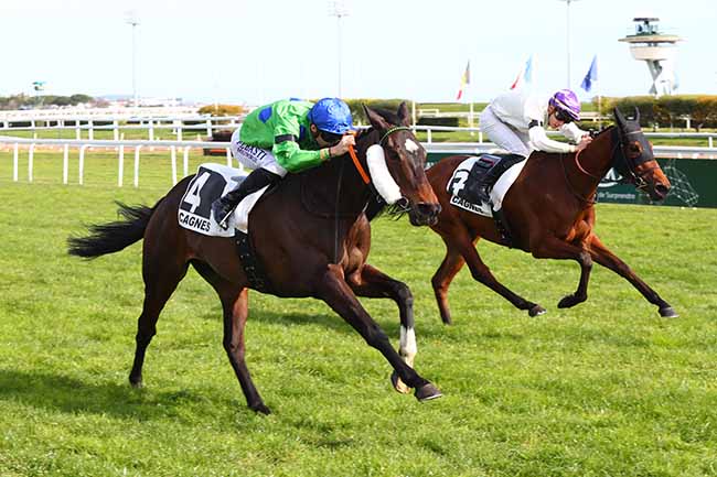 Photo d'arrivée de la course pmu PRIX RAUBA CAPEU à CAGNES-SUR-MER le Mercredi 21 février 2024