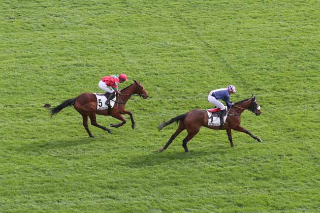 Photo d'arrivée de la course pmu PRIX MARISE à AUTEUIL le Samedi 24 février 2024