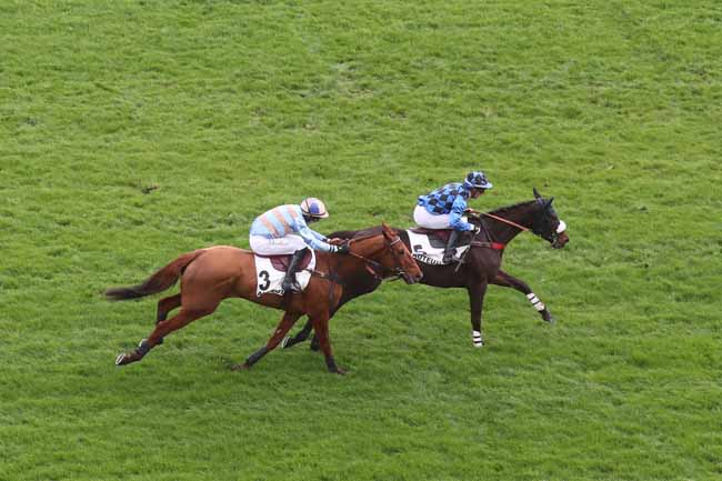 Photo d'arrivée de la course pmu PRIX VARAVILLE à AUTEUIL le Samedi 24 février 2024