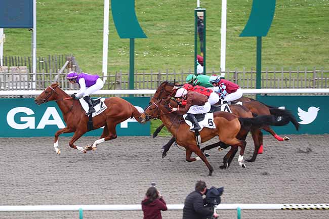 Photo d'arrivée de la course pmu PRIX DU CHENE DES TROIS FRERES à CHANTILLY le Samedi 24 février 2024