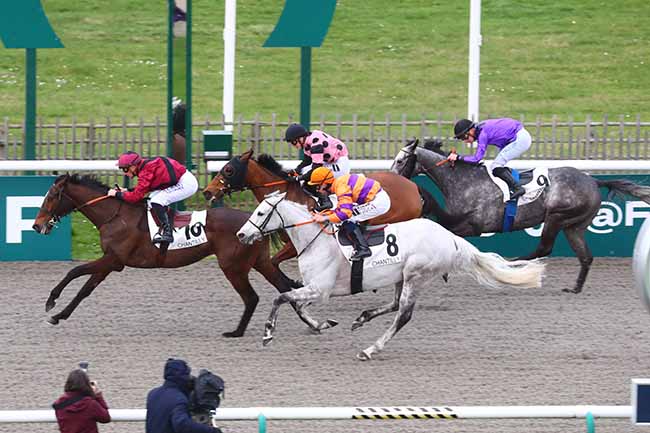 Photo d'arrivée de la course pmu PRIX DE LA ROUTE DU MILIEU à CHANTILLY le Samedi 24 février 2024
