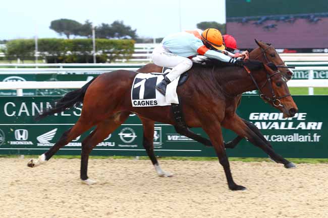 Photo d'arrivée de la course pmu PRIX DES JACINTHES à CAGNES-SUR-MER le Lundi 26 février 2024