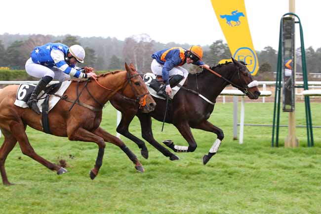 Photo d'arrivée de la course pmu PRIX DU MONT CHAUVET à FONTAINEBLEAU le Lundi 26 février 2024