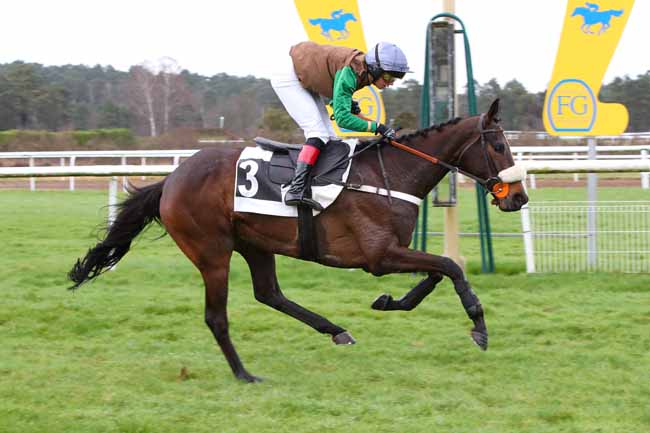 Photo d'arrivée de la course pmu PRIX DES DAGUETS à FONTAINEBLEAU le Lundi 26 février 2024