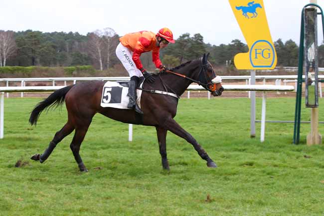 Photo d'arrivée de la course pmu PRIX DE LA SOCIETE DES COURSES DE DIEPPE à FONTAINEBLEAU le Lundi 26 février 2024