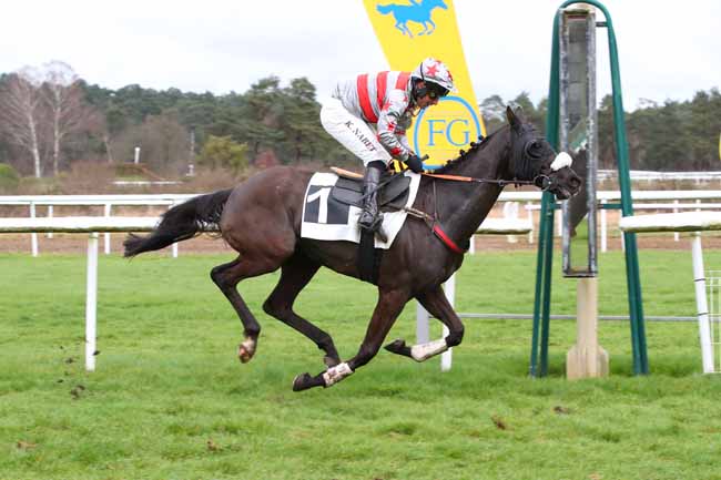 Photo d'arrivée de la course pmu PRIX CAPITAINE LABONDE à FONTAINEBLEAU le Lundi 26 février 2024