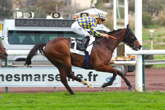 Photo d'arrivée de la course pmu PRIX DE CARNOUX-EN-PROVENCE à MARSEILLE BORELY le Mardi 27 février 2024