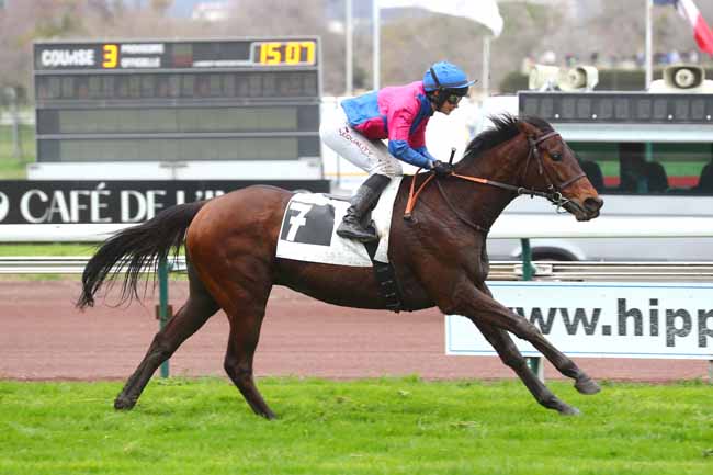 Photo d'arrivée de la course pmu PRIX DE SAINT-REMY-DE-PROVENCE à MARSEILLE BORELY le Mardi 27 février 2024