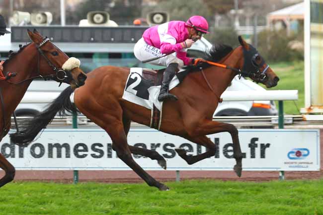 Photo d'arrivée de la course pmu PRIX HISTOIRE DE FILLES (PRIX DES MYRTHES) à MARSEILLE BORELY le Mardi 27 février 2024