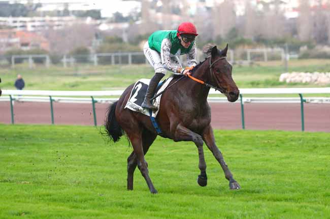 Photo d'arrivée de la course pmu PRIX RACE AND CARE (PRIX LORD FLASHEART) à MARSEILLE BORELY le Mardi 27 février 2024