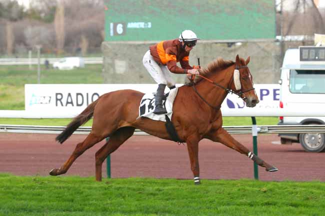 Photo d'arrivée de la course pmu PRIX DES JUJUBIERS à MARSEILLE BORELY le Mardi 27 février 2024