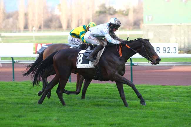 Photo d'arrivée de la course pmu PRIX DE CASTELLANE à MARSEILLE BORELY le Mardi 27 février 2024