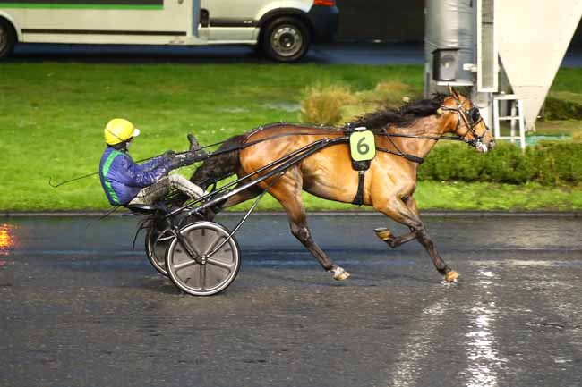 Photo d'arrivée de la course pmu PRIX FRANCK ANNE à PARIS-VINCENNES le Samedi 2 mars 2024