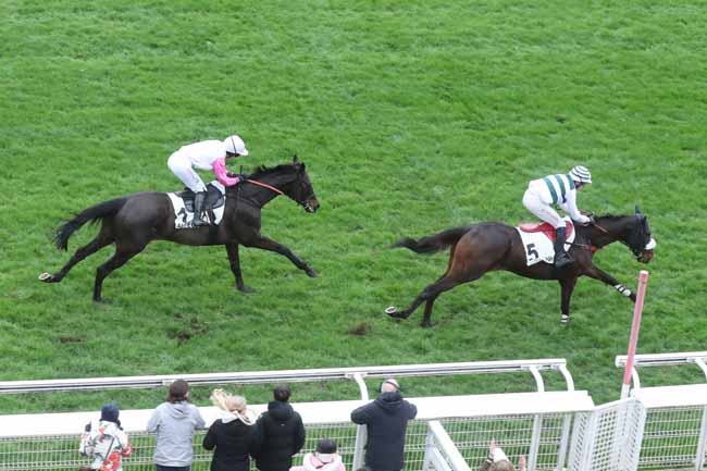 Photo d'arrivée de la course pmu PRIX JEAN DOUMEN à AUTEUIL le Dimanche 3 mars 2024