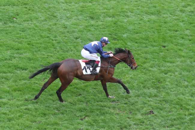 Photo d'arrivée de la course pmu PRIX ROHAN à AUTEUIL le Dimanche 3 mars 2024