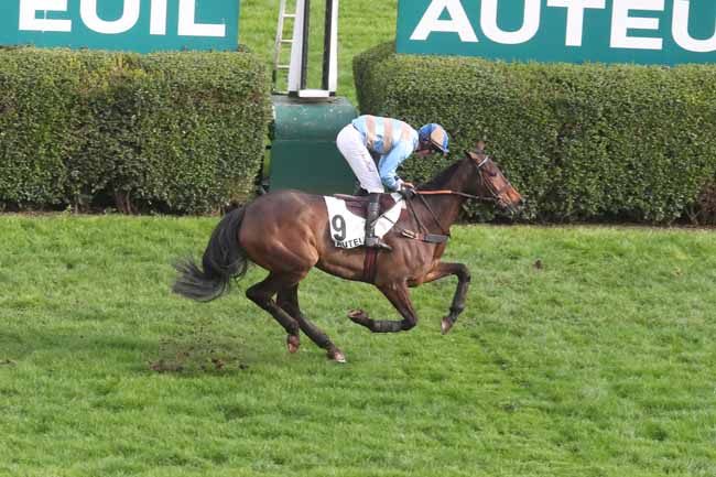 Photo d'arrivée de la course pmu PRIX COUSIN PONS à AUTEUIL le Dimanche 3 mars 2024