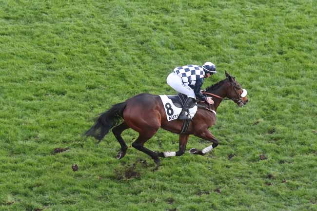 Photo d'arrivée de la course pmu PRIX SOUVIENS-TOI à AUTEUIL le Dimanche 3 mars 2024