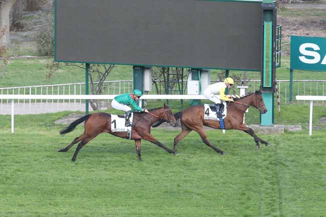 Photo d'arrivée de la course pmu PRIX ROSE DE MAI à SAINT CLOUD le Jeudi 7 mars 2024