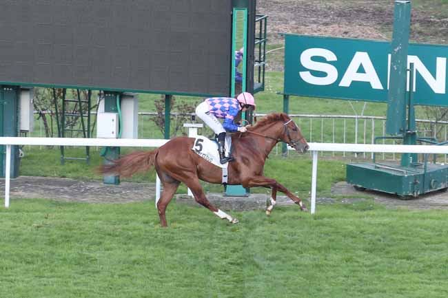 Photo d'arrivée de la course pmu PRIX GRIS PERLE à SAINT CLOUD le Jeudi 7 mars 2024