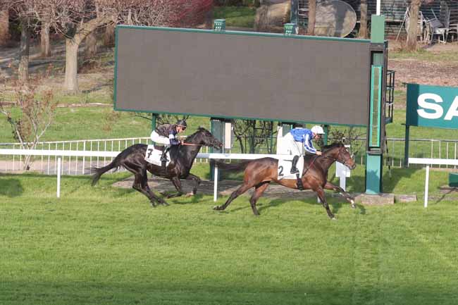 Photo d'arrivée de la course pmu PRIX ALTIPAN à SAINT CLOUD le Jeudi 7 mars 2024