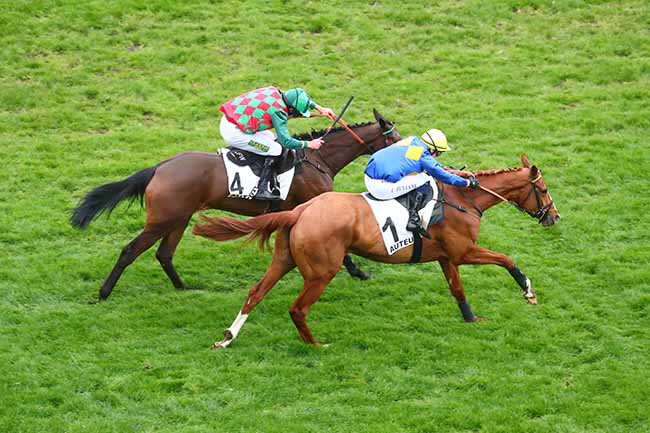 Photo d'arrivée de la course pmu PRIX SAMARITAIN à AUTEUIL le Samedi 9 mars 2024