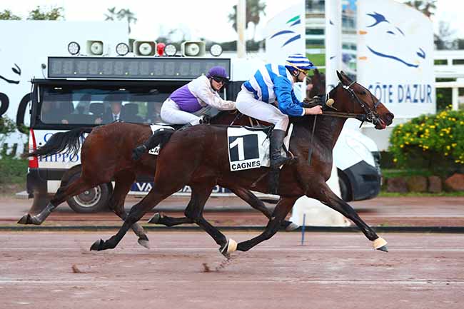Photo d'arrivée de la course pmu PRIX CASINOS PARTOUCHE (PRIX D'ALBENGA) à CAGNES-SUR-MER le Dimanche 10 mars 2024
