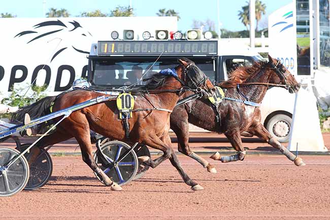 Photo d'arrivée de la course pmu PRIX DE ROME - TOR DI VALLE à CAGNES-SUR-MER le Dimanche 10 mars 2024
