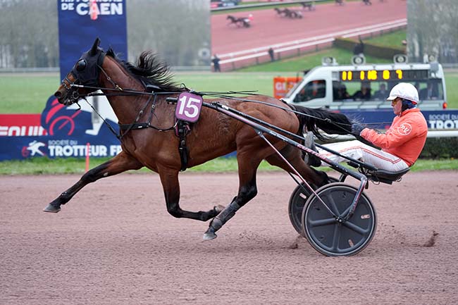 Photo d'arrivée de la course pmu PRIX DE FRENOUVILLE à CAEN le Lundi 11 mars 2024