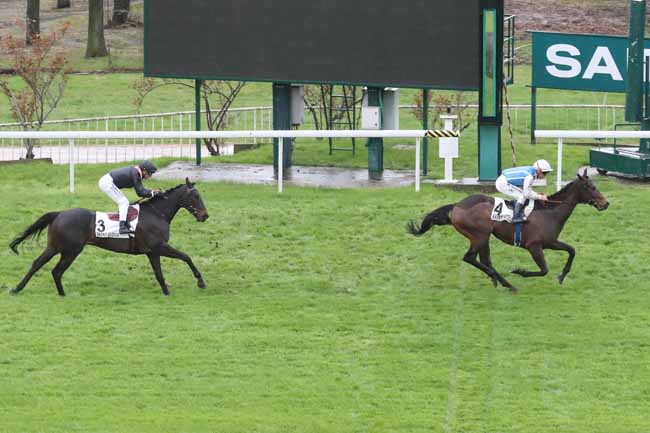 Photo d'arrivée de la course pmu PRIX DE CHAUMONT-EN-VEXIN à SAINT CLOUD le Mardi 12 mars 2024