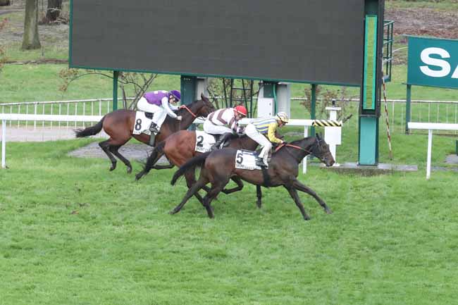 Photo d'arrivée de la course pmu PRIX D'ESTIMAUVILLE à SAINT CLOUD le Mardi 12 mars 2024