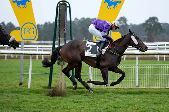 Photo d'arrivée de la course pmu PRIX DIX CORS ROYAL à FONTAINEBLEAU le Mardi 12 mars 2024