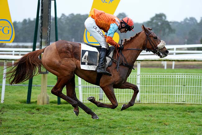 Photo d'arrivée de la course pmu PRIX DE LA TILLAIE à FONTAINEBLEAU le Mardi 12 mars 2024