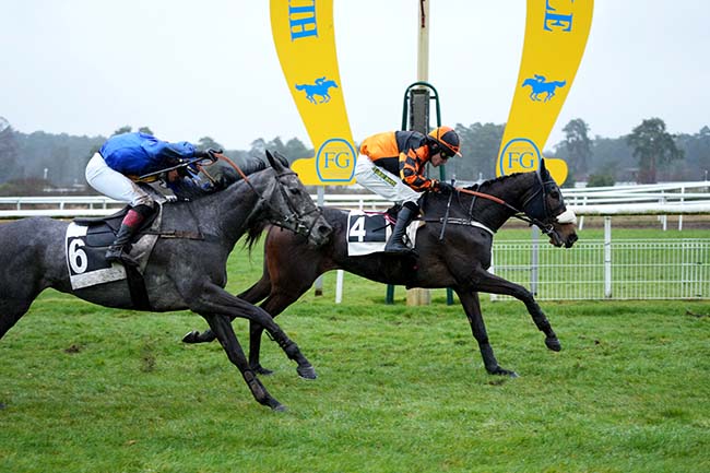 Photo d'arrivée de la course pmu PRIX JEAN SOUILHE à FONTAINEBLEAU le Mardi 12 mars 2024