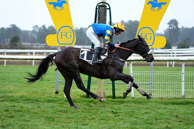 Photo d'arrivée de la course pmu PRIX COLONEL LAPADU-HARGUES à FONTAINEBLEAU le Mardi 12 mars 2024