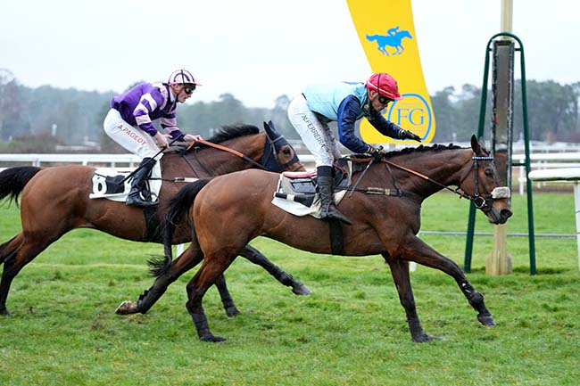 Photo d'arrivée de la course pmu PRIX DE LA SOCIETE DES COURSES DU PIN à FONTAINEBLEAU le Mardi 12 mars 2024
