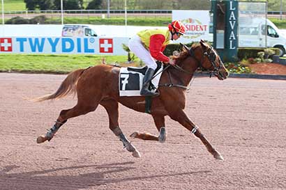 Photo d'arrivée de la course pmu PRIX WWW.HIPPODROME-LAVAL.FR à LAVAL le Mercredi 13 mars 2024