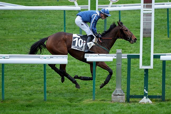 Photo d'arrivée de la course pmu PRIX STRADA à COMPIEGNE le Mercredi 13 mars 2024