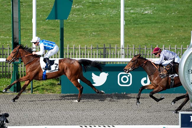 Photo d'arrivée de la course pmu PRIX DU CHATEAU à CHANTILLY le Jeudi 14 mars 2024