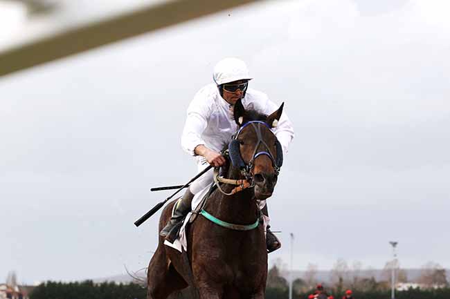 Photo d'arrivée de la course pmu PRIX DE FENAIN à ENGHIEN le Vendredi 15 mars 2024