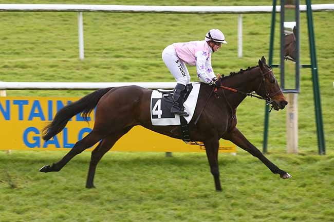 Photo d'arrivée de la course pmu PRIX D'ABBEVILLE à FONTAINEBLEAU le Vendredi 15 mars 2024