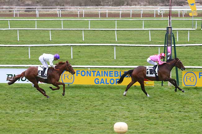 Photo d'arrivée de la course pmu PRIX DE SAMOIS-SUR-SEINE à FONTAINEBLEAU le Vendredi 15 mars 2024