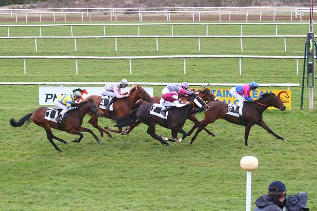 Photo d'arrivée de la course pmu PRIX DES BOULEAUX à FONTAINEBLEAU le Vendredi 15 mars 2024