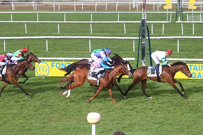 Photo d'arrivée de la course pmu PRIX DES PEUPLIERS à FONTAINEBLEAU le Vendredi 15 mars 2024