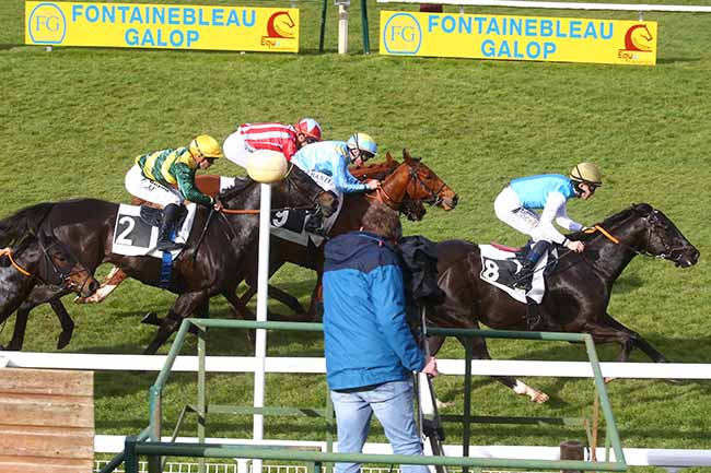 Photo d'arrivée de la course pmu PRIX DES BARNOLETS à FONTAINEBLEAU le Vendredi 15 mars 2024