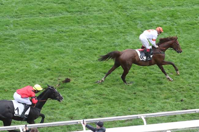 Photo d'arrivée de la course pmu PRIX RUSH à AUTEUIL le Dimanche 17 mars 2024