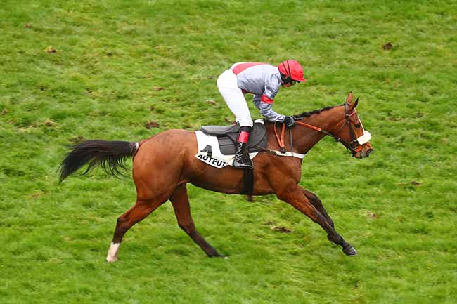 Photo d'arrivée de la course pmu PRIX CALDARIUM à AUTEUIL le Dimanche 17 mars 2024