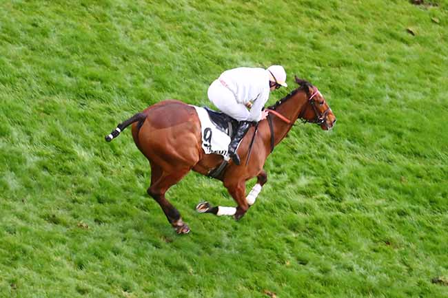 Photo d'arrivée de la course pmu PRIX LILIUM à AUTEUIL le Dimanche 17 mars 2024